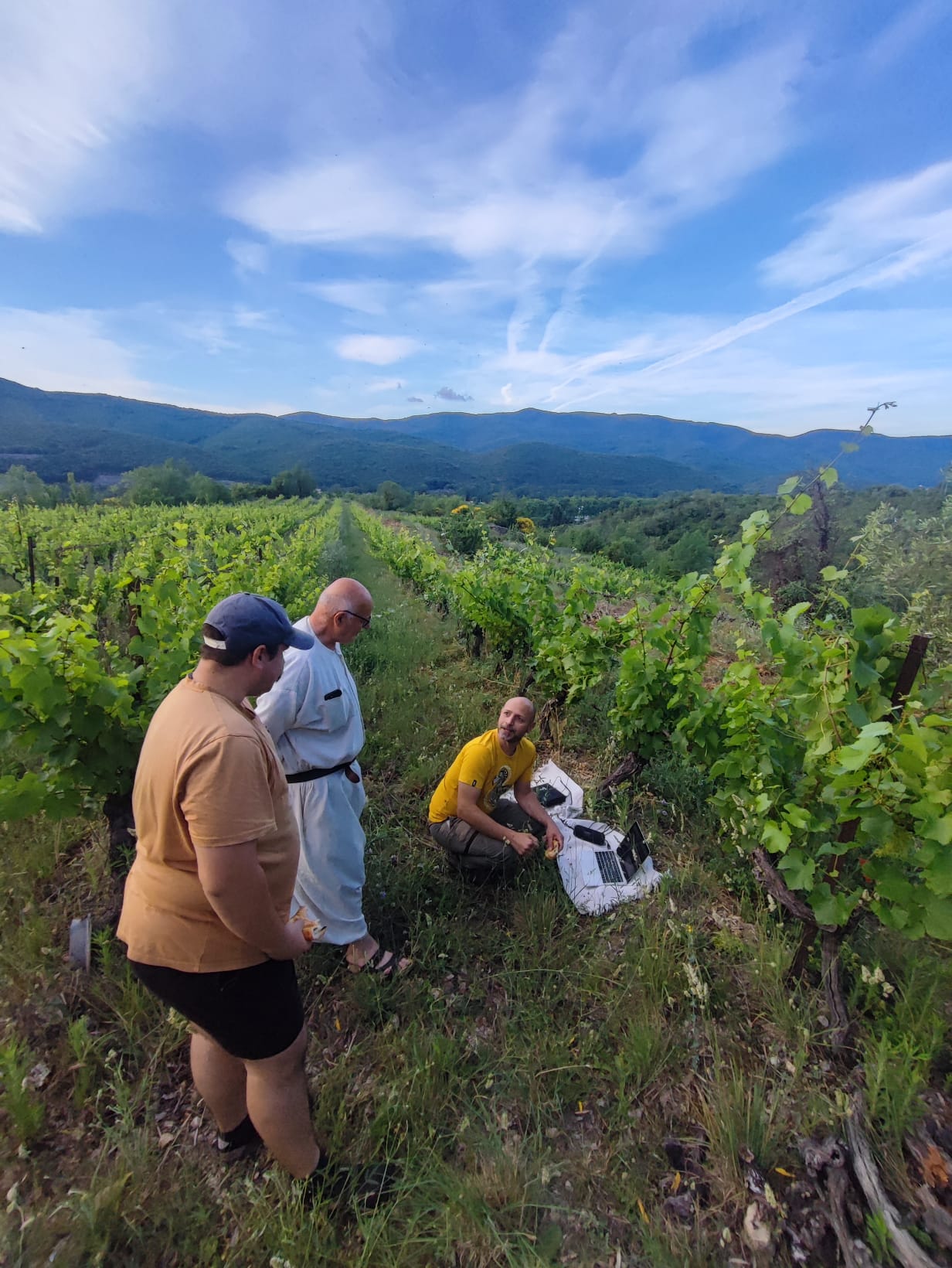 Vignes Compagnons du sens, Domaine Pèira Clara