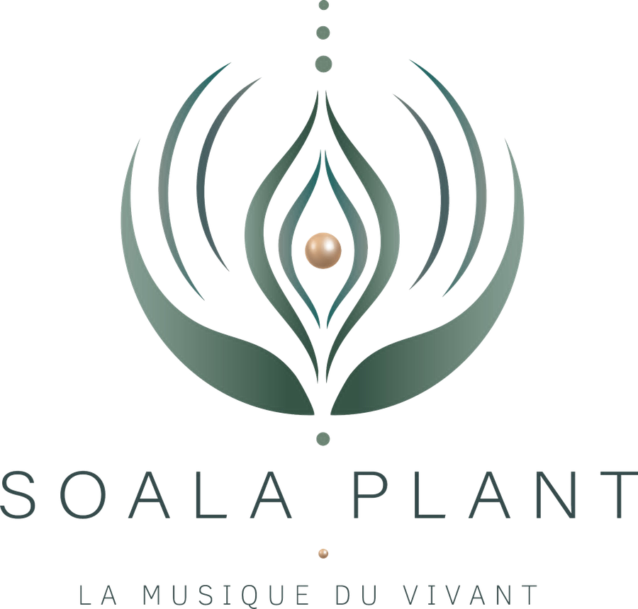 SOALA PLANT — La musique du vivant