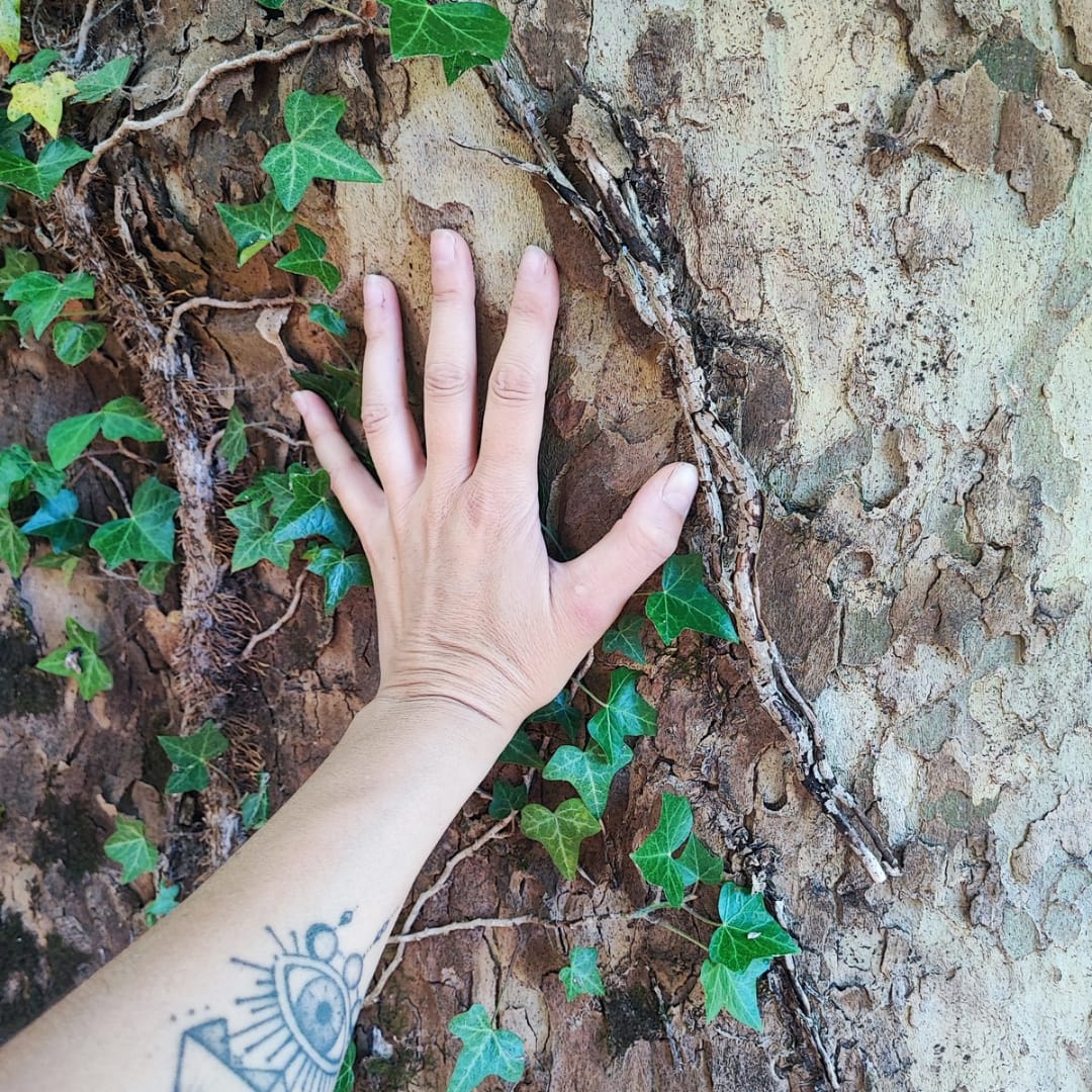 Caroline - main sur arbre